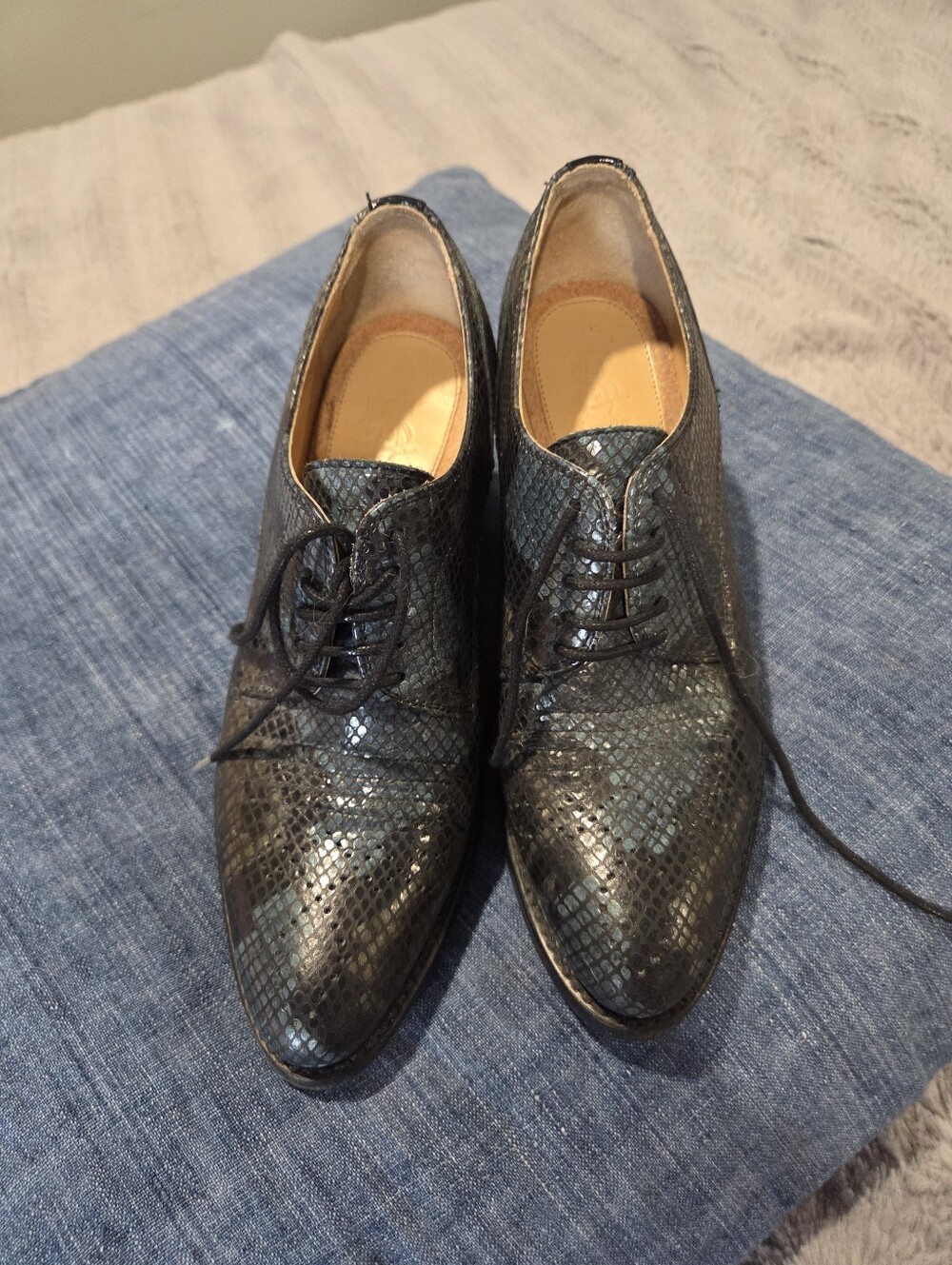 Women's Lace-Up Dress Oxfords in Blue/ Black Snake-Embossed Leather